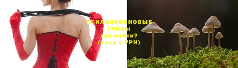 Псилоцибиновые грибы Cubensis  Байкальск 